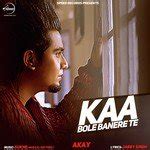 kaa bole banere te song download|More.